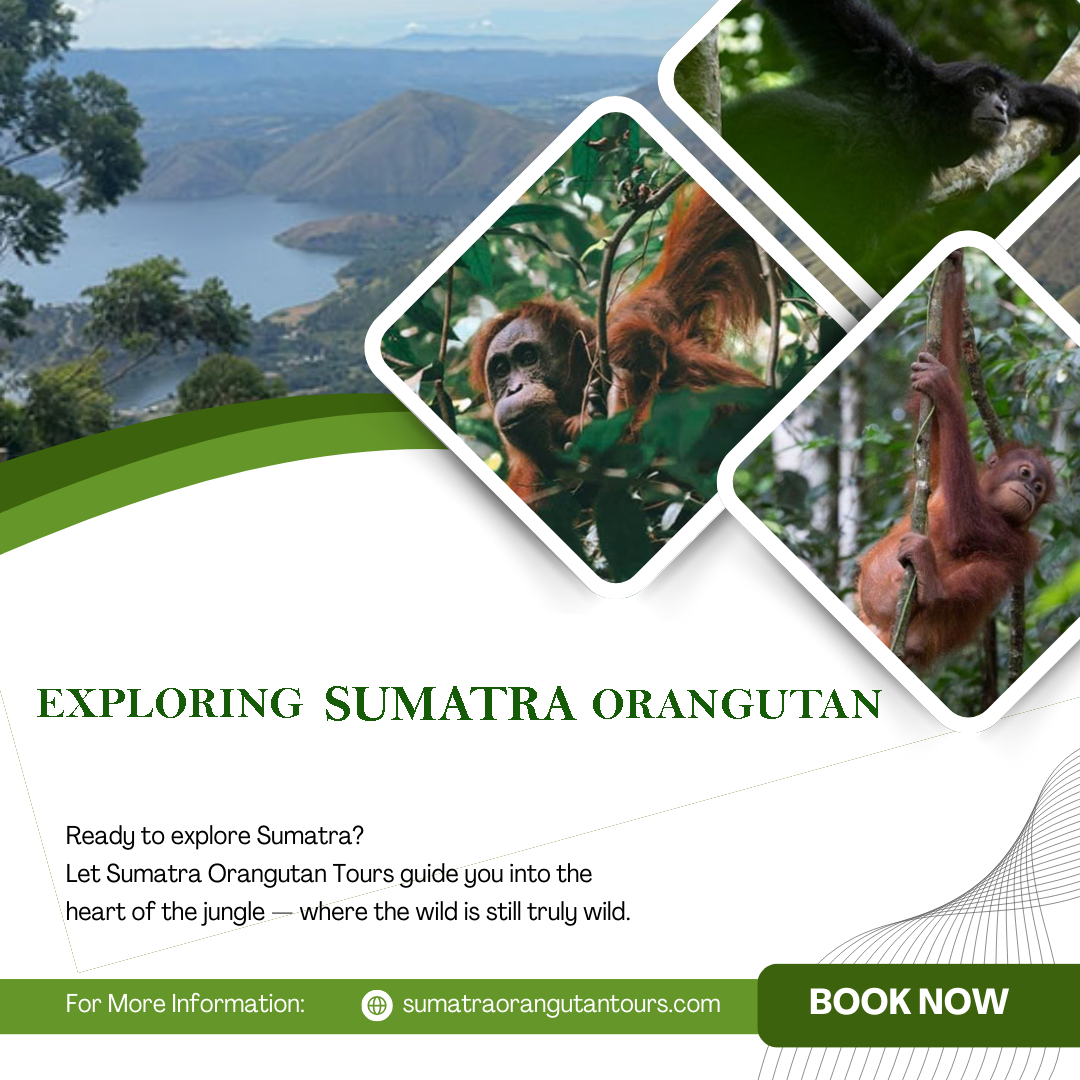 EPLORING SUMATRA ORANGUTAN