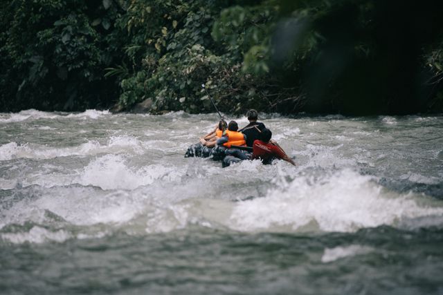 Sumatra explore orangutan