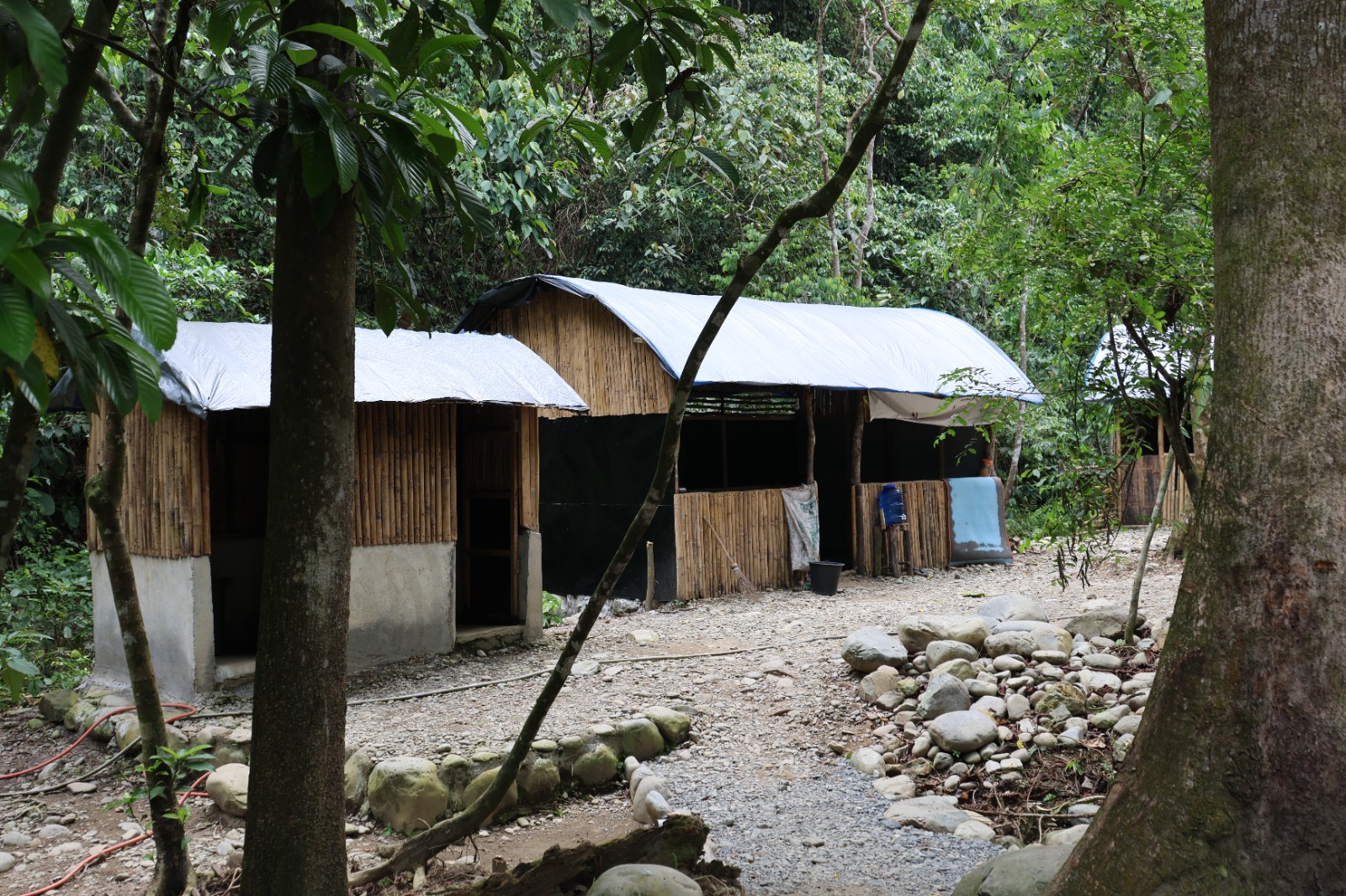 Jungle Campsite Experience 1