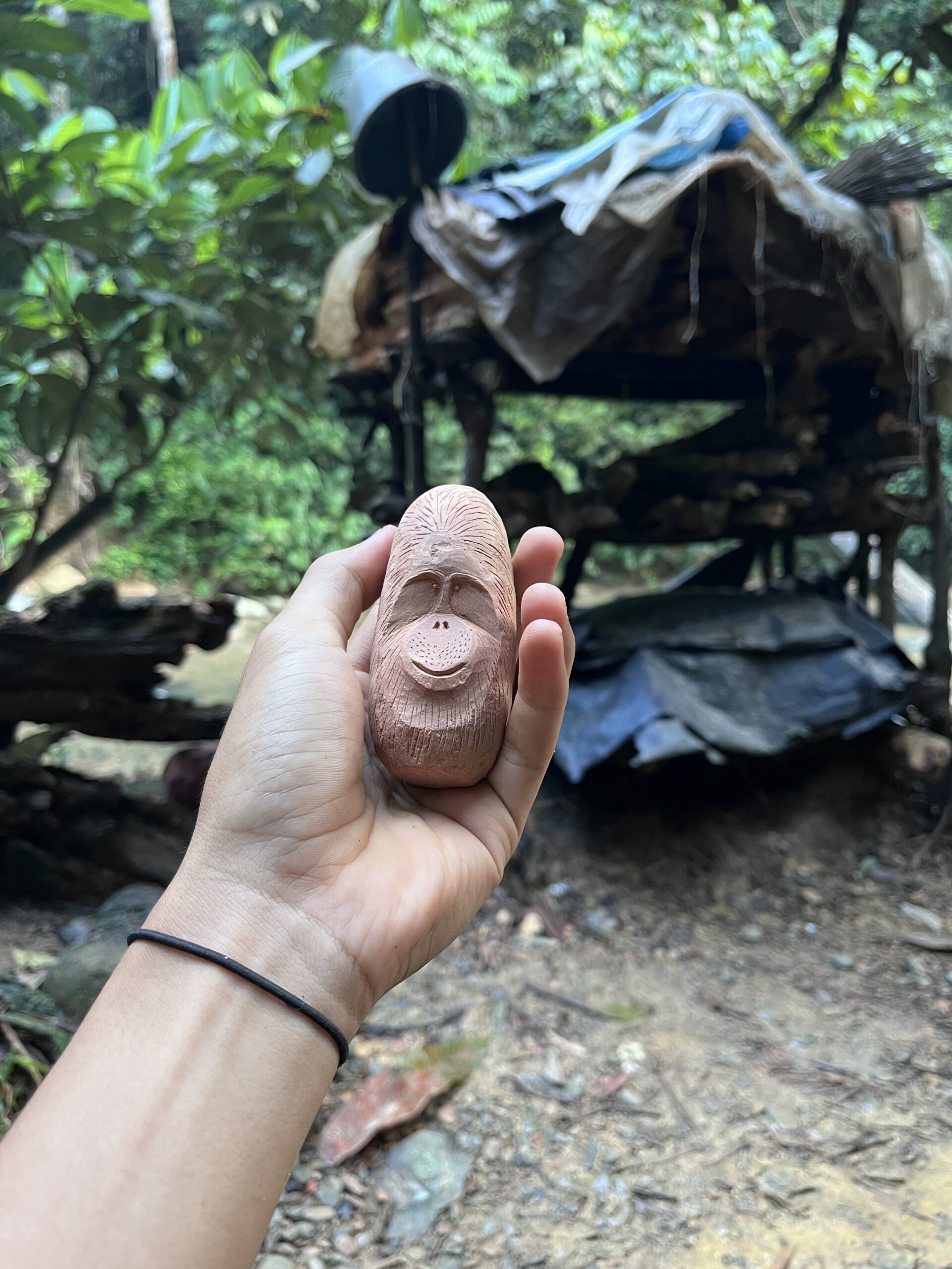 Jungle Campsite Experience 4