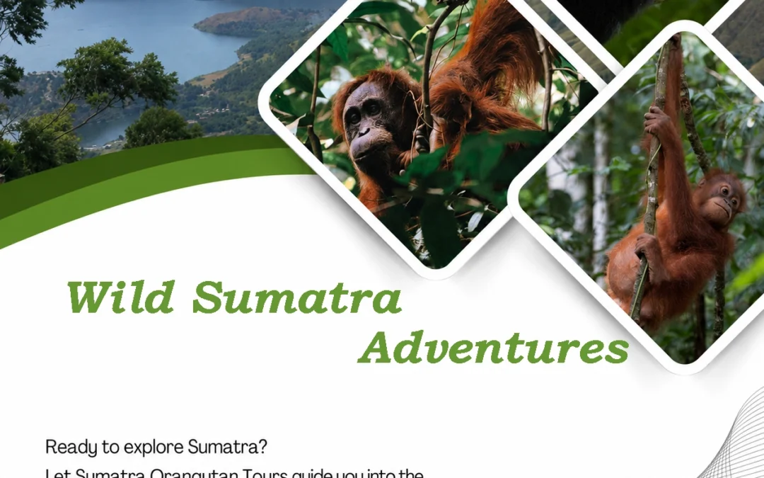Wild Sumatra Adventure