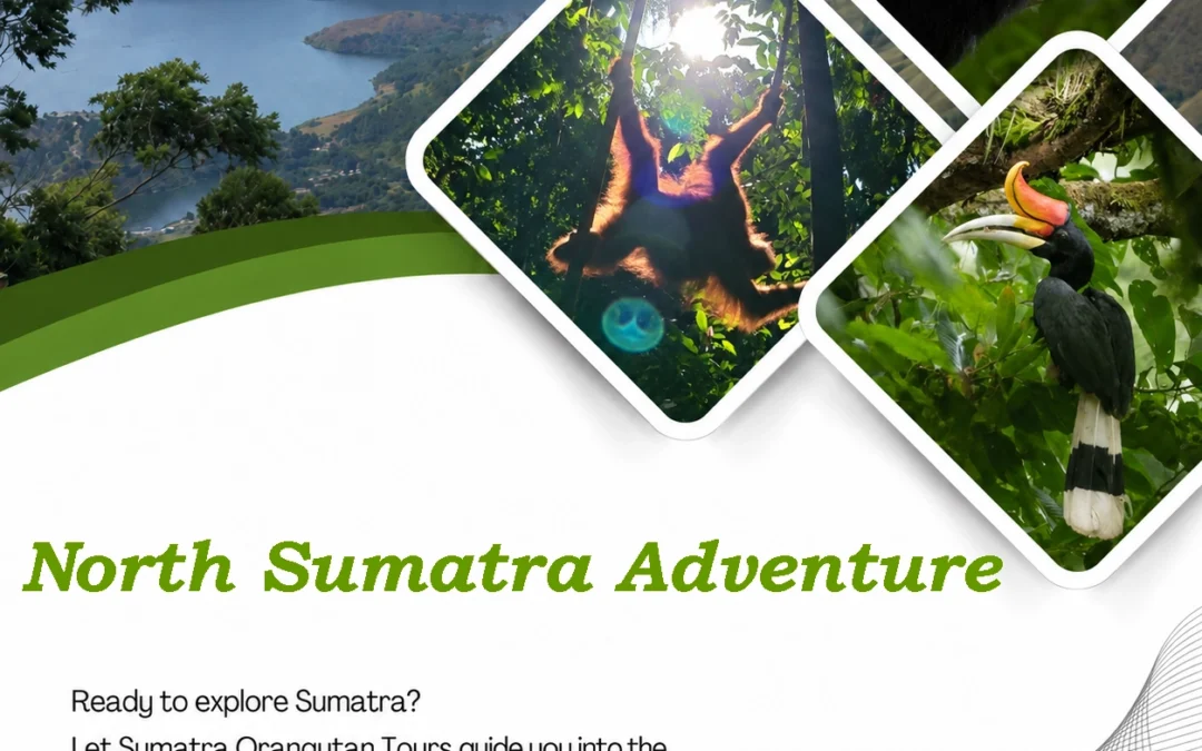 North Sumatra Adventure | Explore Rainforest, Wildlife & Local Culture