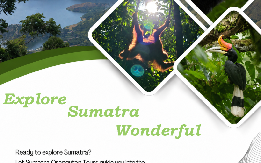 Explore Sumatra Wonderful |Discover the Island’s Natural Beauty and Wild Adventures